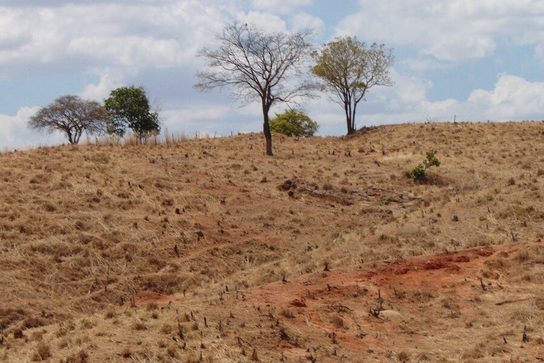 TCE-PB vai iniciar auditoria em Políticas de Combate à Desertificação do Semiárido